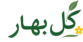 لوگو